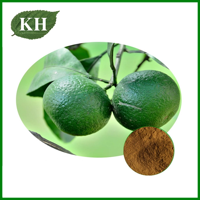 Citrus Aurantium Extract Powder Citrus Aurantium Extract Powder